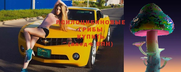молекула духа Костерёво