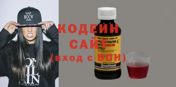 молекула духа Костерёво