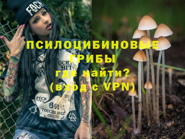 прущий лед Козловка