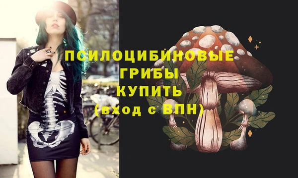 МДМА Коряжма