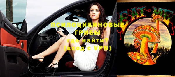 молекула духа Костерёво