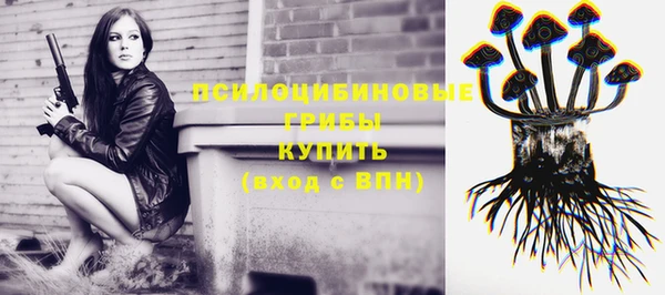молекула духа Костерёво