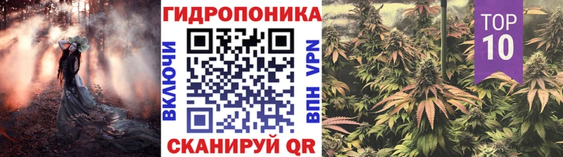 как найти закладки  Карачев  Марихуана планчик 
